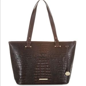 Brahmin Cocoa Medium Asher Tote